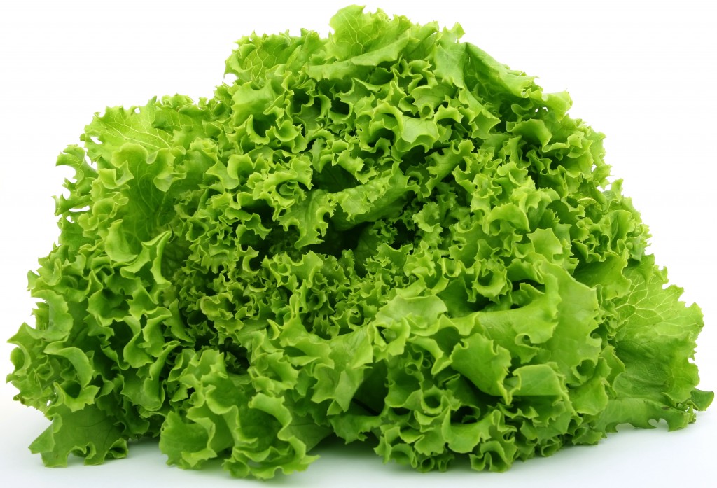 lettuce00